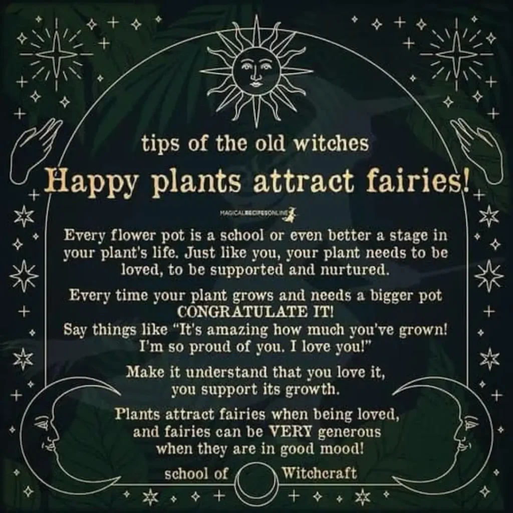 Plants attract fairies 