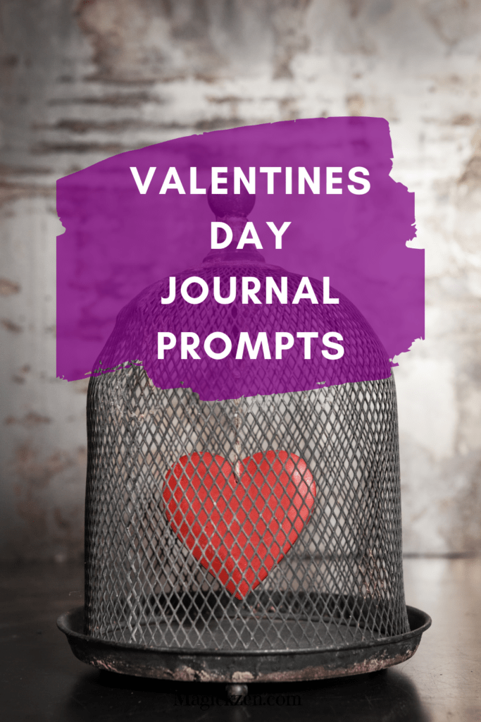 red heart in a bird cage